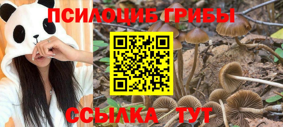 Галлюциногенные грибы мухоморы Сосновоборск
