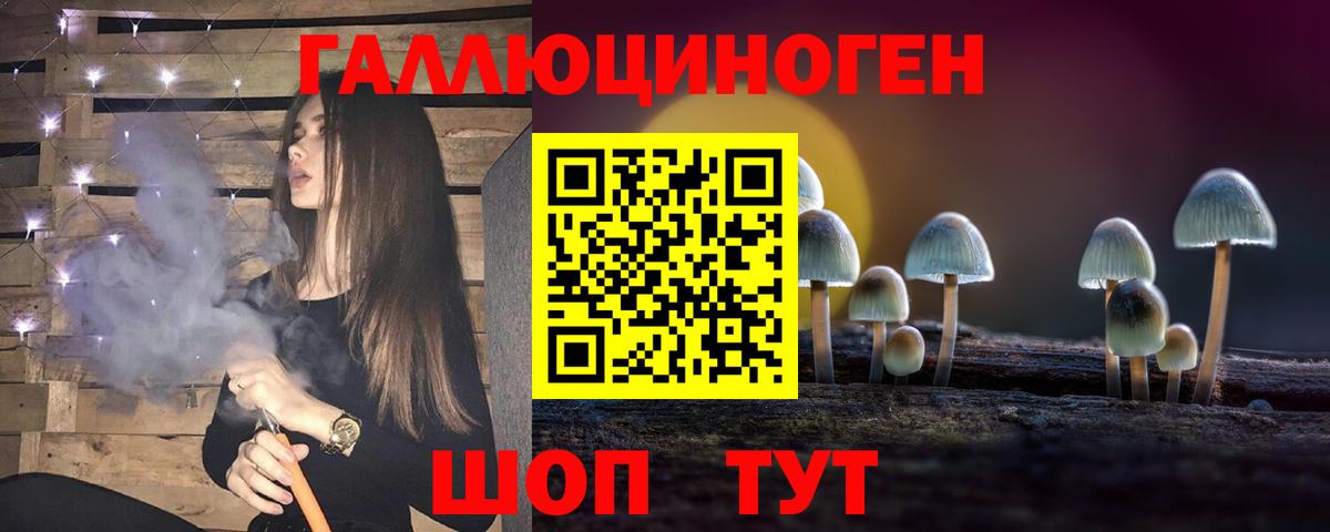 Сосновоборск  Галлюциногенные грибы ЛСД  Вход с VPN 